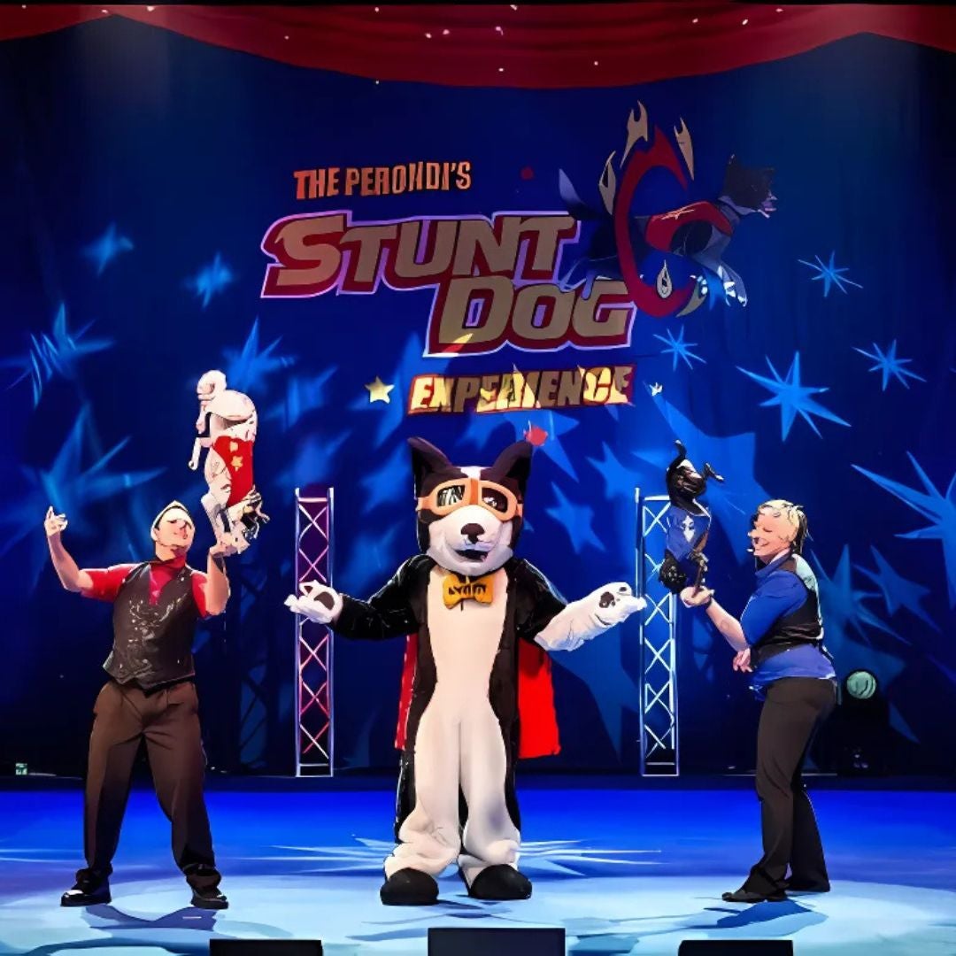 dogs doing tricks on a stage